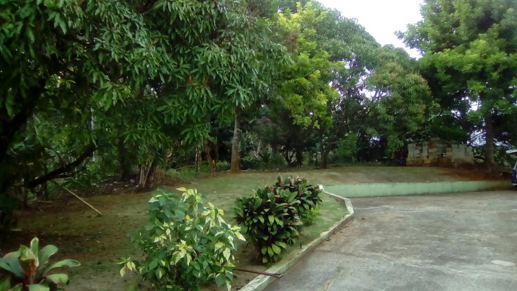 Griffiths Guest House White Hill ภายนอก รูปภาพ